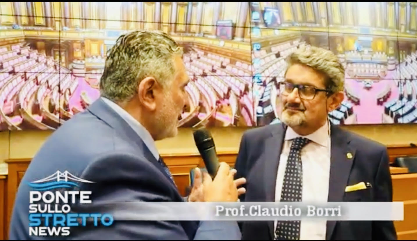 Ponte, intervista al prof. Borri Messina Oggi