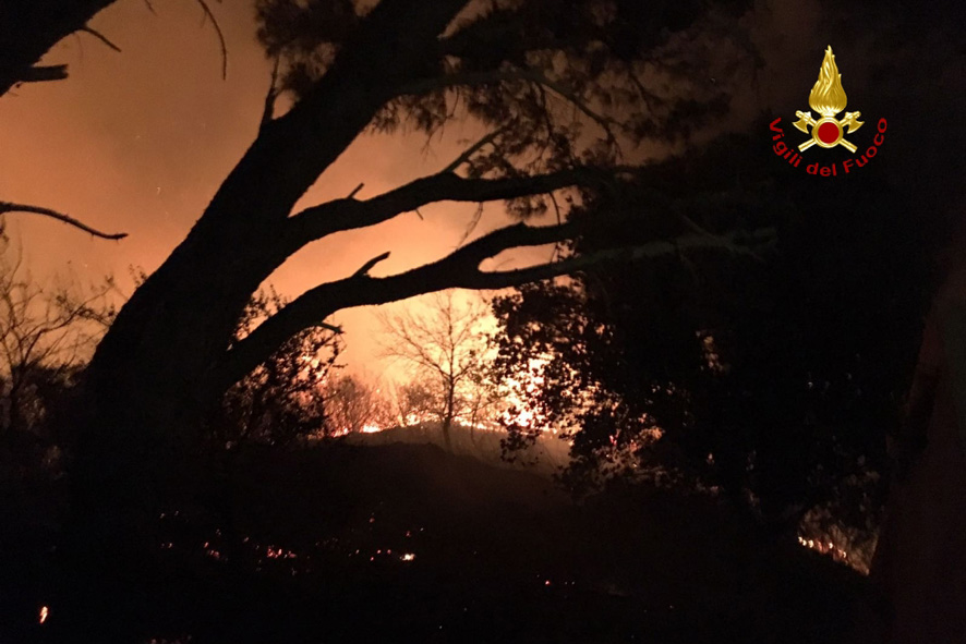 Incendi, Tripodi (Uil): "La Regione ha enormi colpe"
