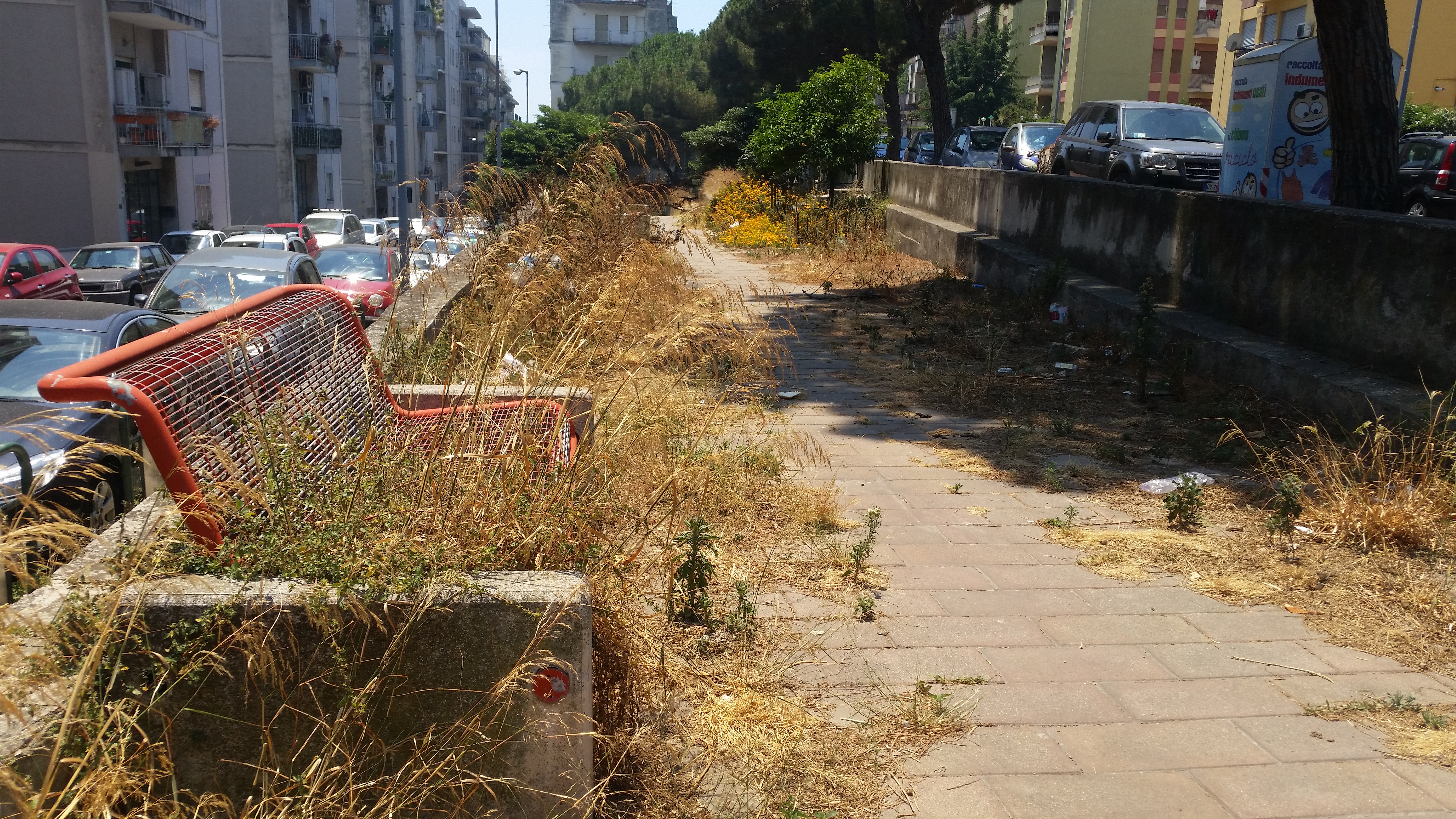 Nessuna cura della villetta della via Principessa Mafalda