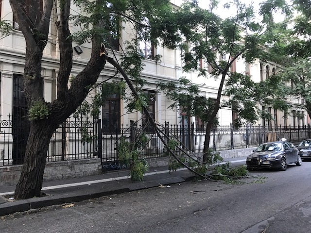 Via Verdi, grosso ramo si schianta al suolo