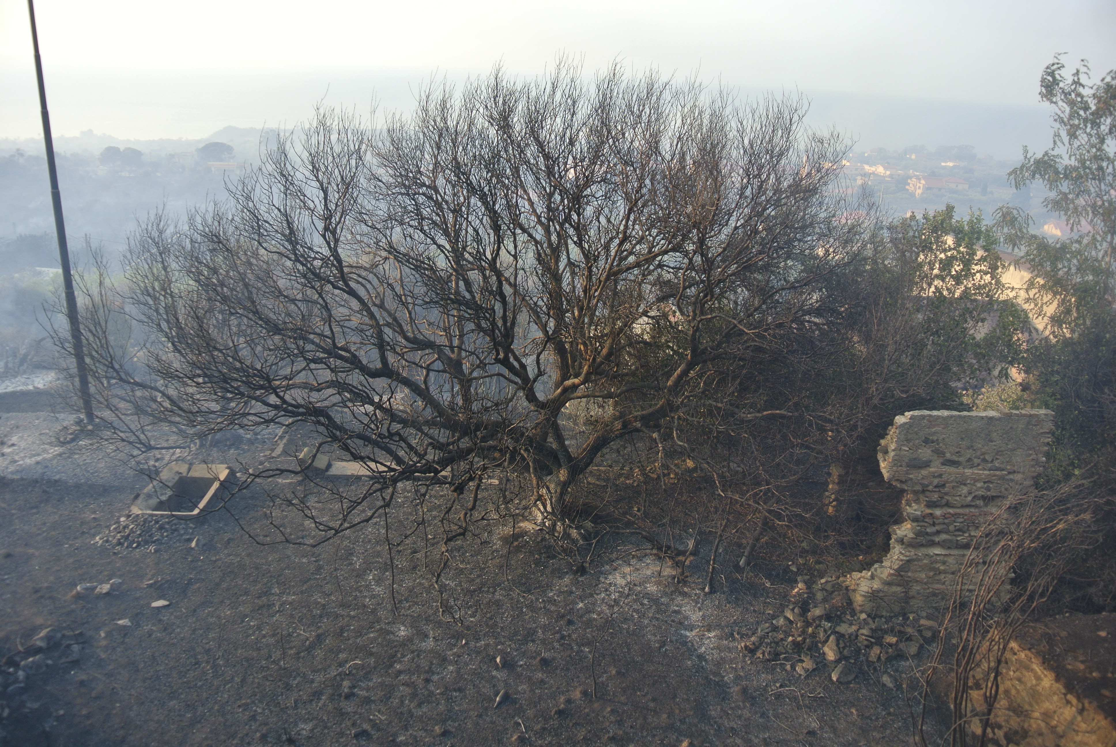 La riviera nord si sveglia in un surreale paesaggio lunare dopo l'incendio di ieri