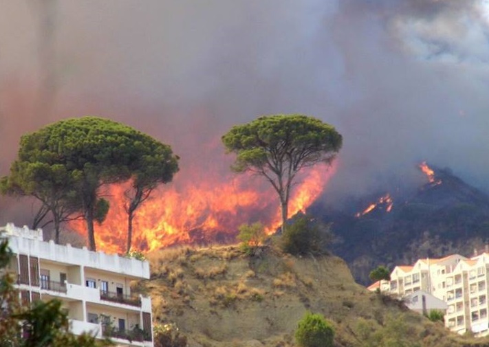 Croce su Sos incendi: "Si cerchino i piromani, non capri espiatori"