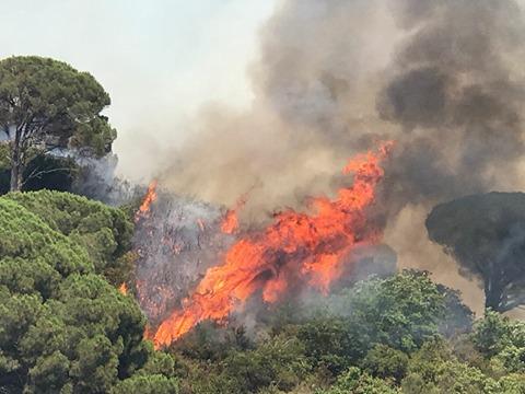 Articolo Uno presenta piano antincendi: “Bisogna intervenire o gli incendi saranno il preludio di dissesti idrogeologici”