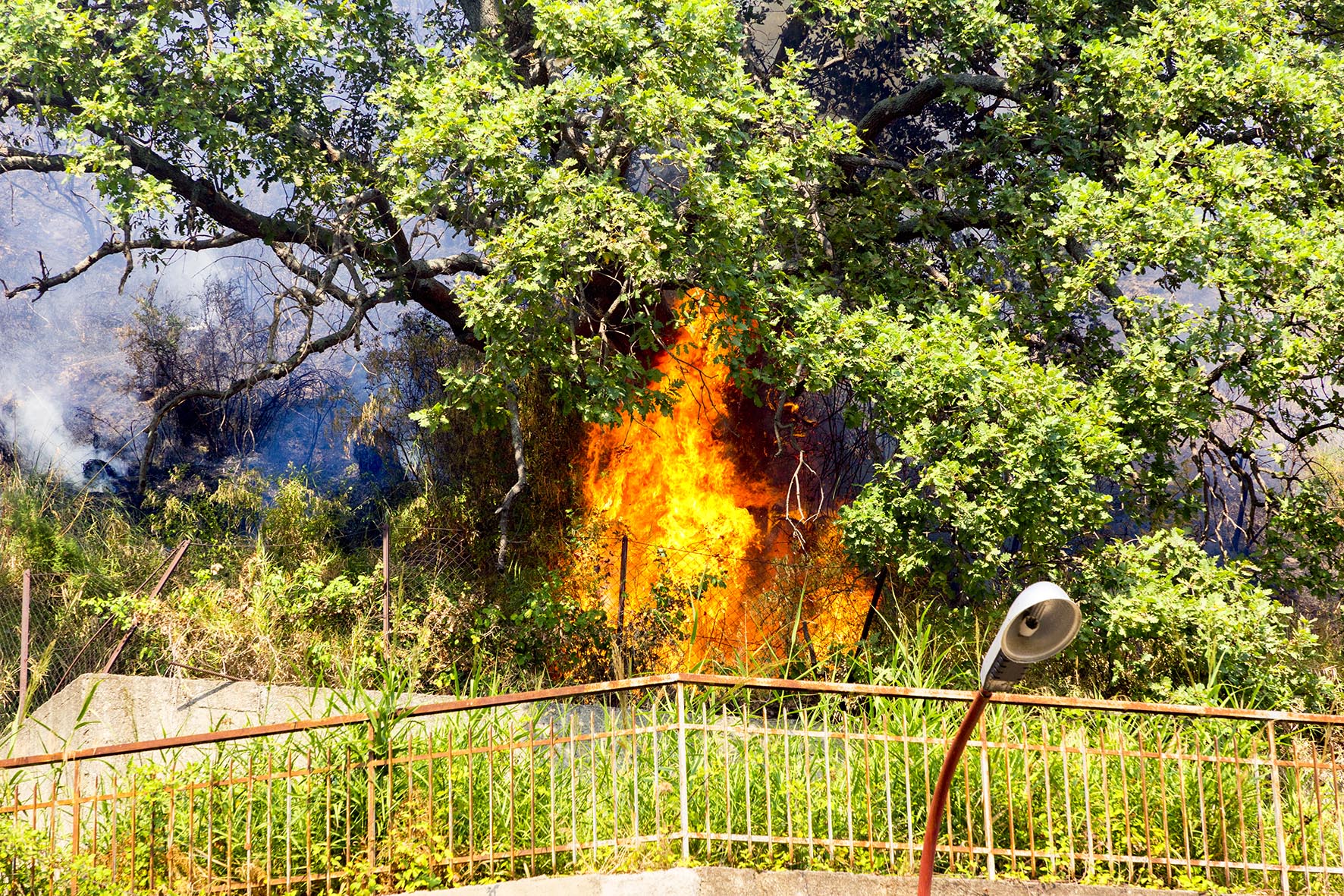 Incendi, la Cgil chiede di proclamare stato d'emergenza nazionale