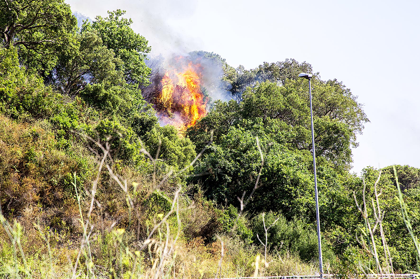 Emergenza incendi, Cia: "Troppa approssimazione"