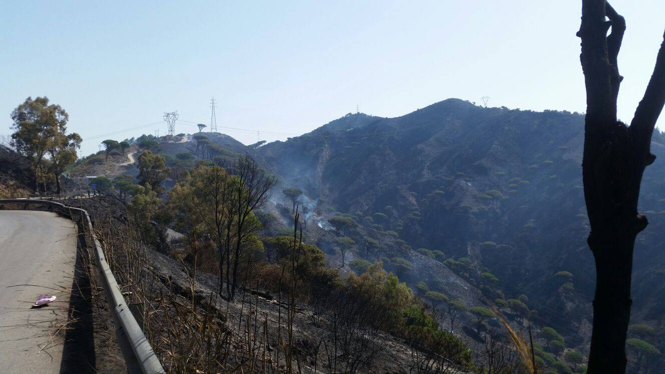 Trazzera S. Michele – Portella Castanea, Legambiente progetta laboratorio all’aperto. Il 12 camminata vs incendi