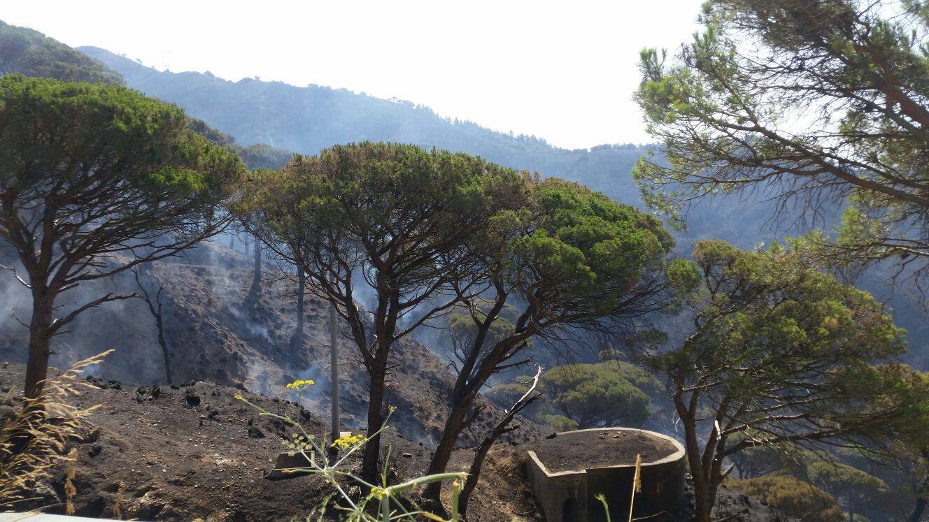 Incendi, la Procura apre inchiesta contro ignoti
