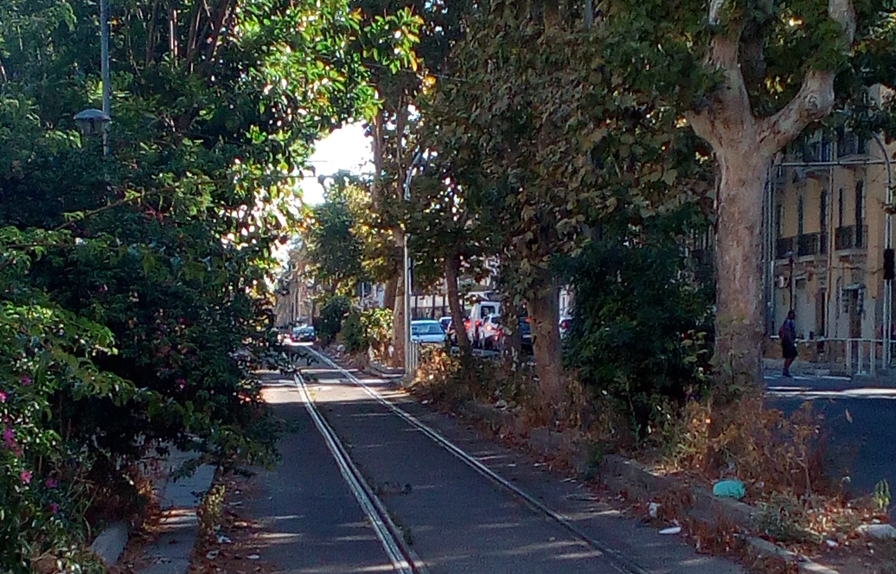 Potatura alberi, sabato nuovo stop per il tram