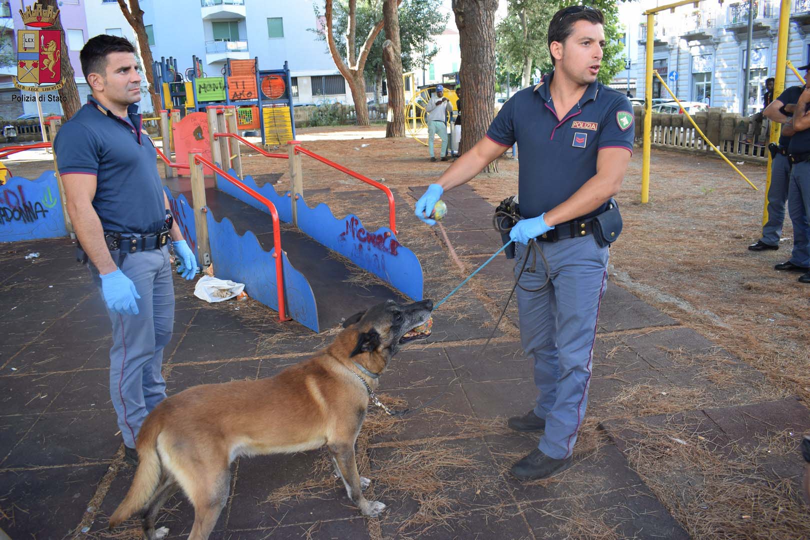 Villetta "Quasimodo", blitz antidroga della polizia