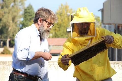 I.C Terme Vigliatore, istallato il primo apiscopio in Italia. Un progetto che abbraccia il futuro del Pianeta