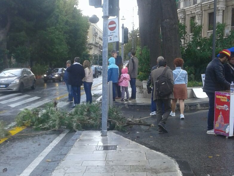 Ramo si schianta in via Cesare Battisti, croceristi miracolati