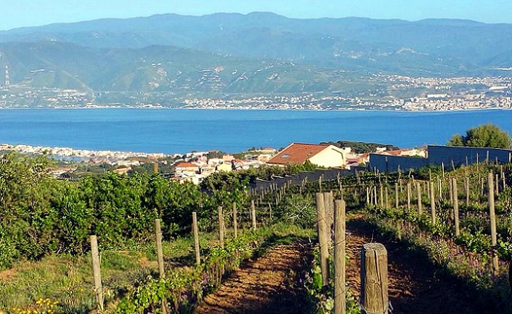 “Salvacolline”, Grilli dello Stretto: Esempio oltre confine per De Cola. Ma no vanto per atti secretati