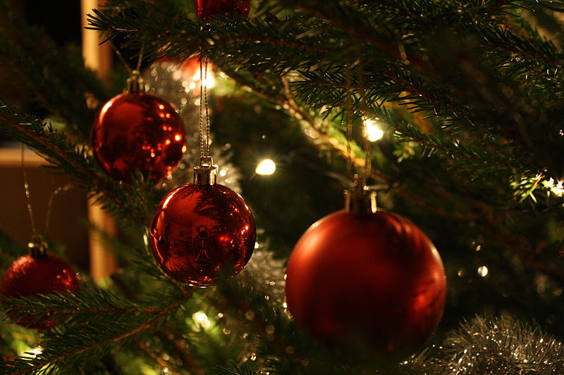Avviata la raccolta degli alberi di Natale, verranno ripiantati sui Peloritani