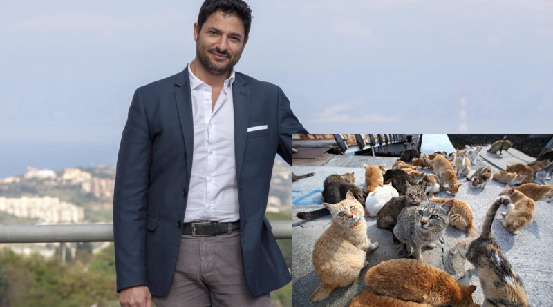Gestione igienico – sanitaria colonie feline, Sanò: “Si installino cartelli per sanzioni”