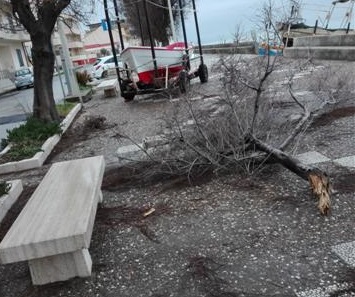 Biancuzzo: "Sos erosione, il mare minaccia le abitazioni"