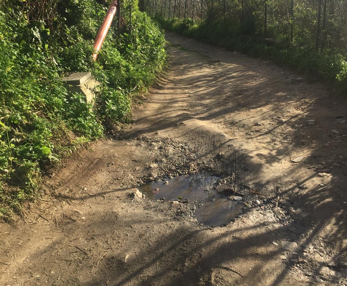 Fogna a cielo aperto nel torrente Trapani, la IV Circoscrizione punta il dito contro l'Amam