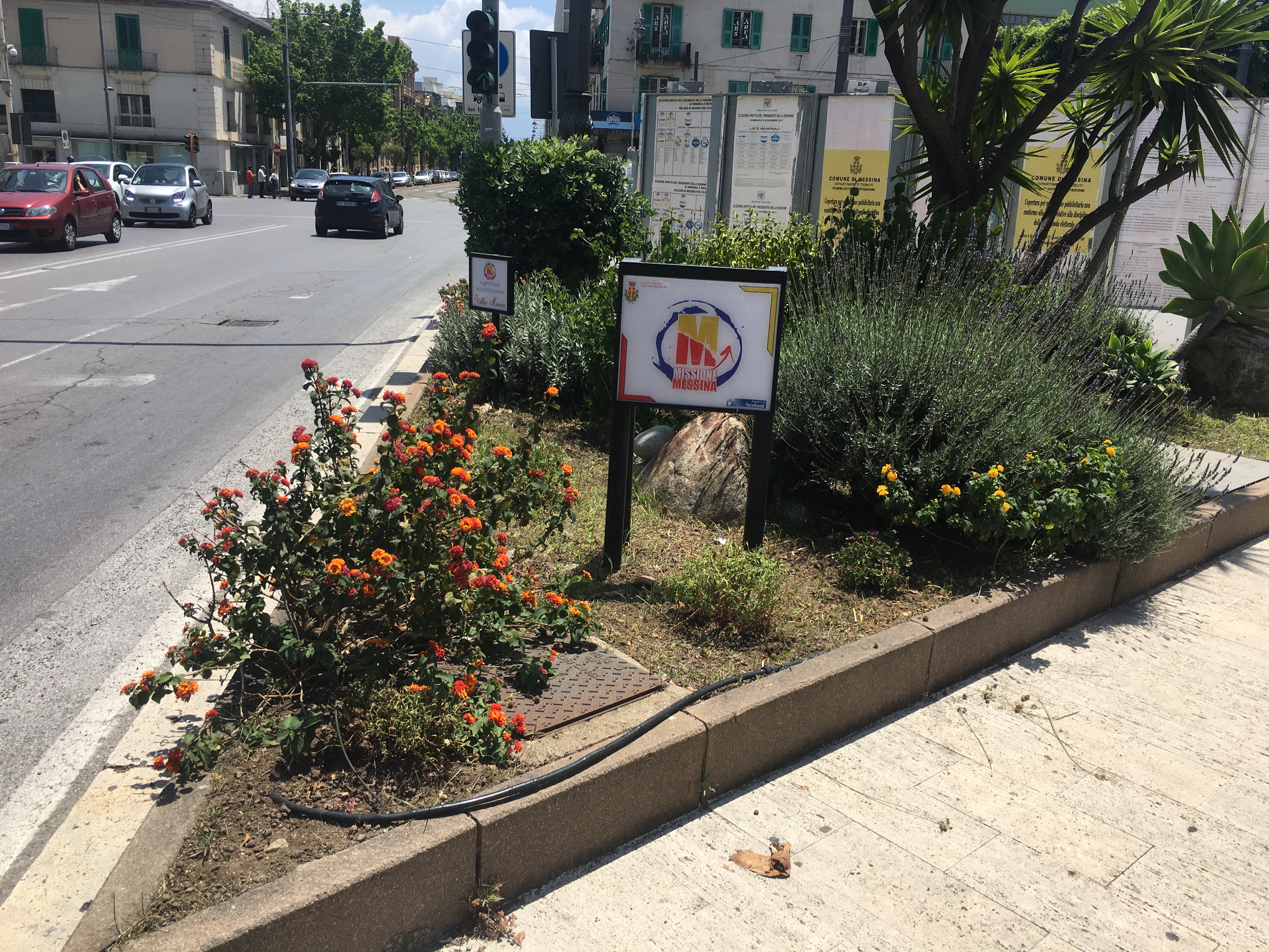 Ripulita l'aiuola dopo la nostra segnalazione… Missione compiuta