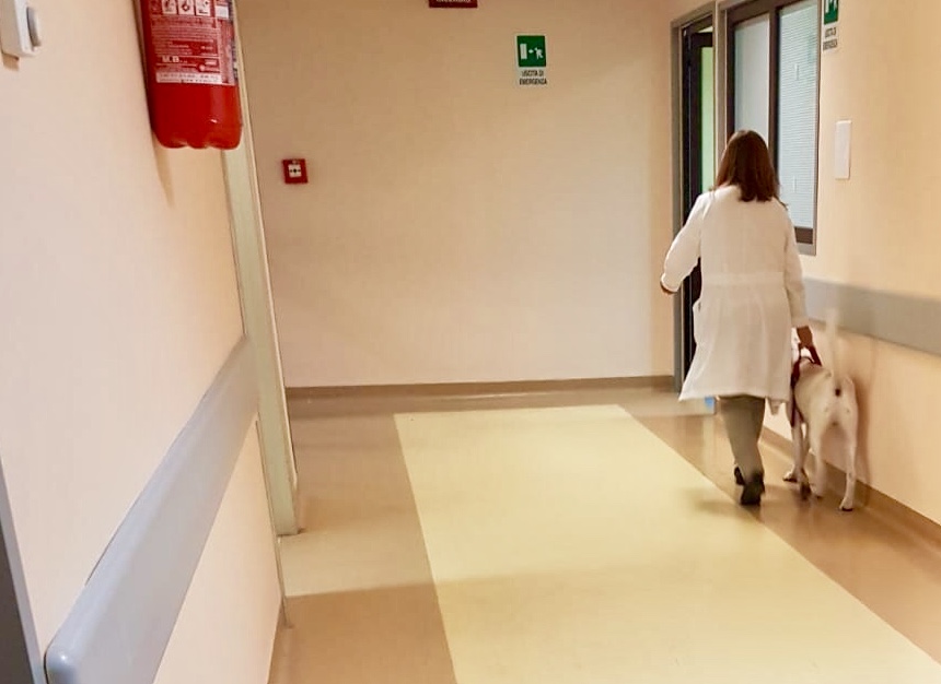 In corsia con il cane, succede anche questo al Papardo