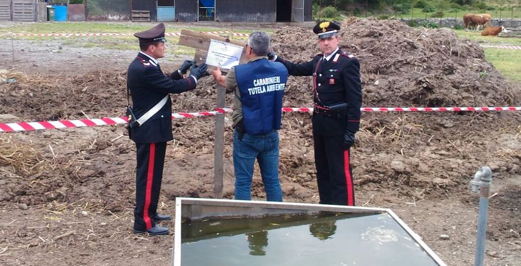 Mistretta, denunciato titolare di un’azienda zootecnica
