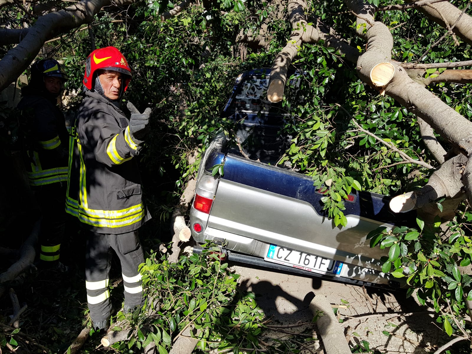 Villa Dante, sfiorata disgrazia. Magnolia si spezza e distrugge una jeep