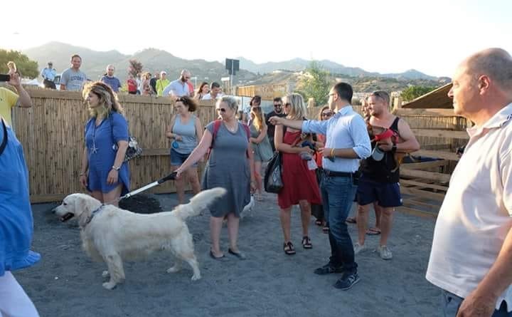 Sicilia in giallo, le regole di Aidaa per gestione cani