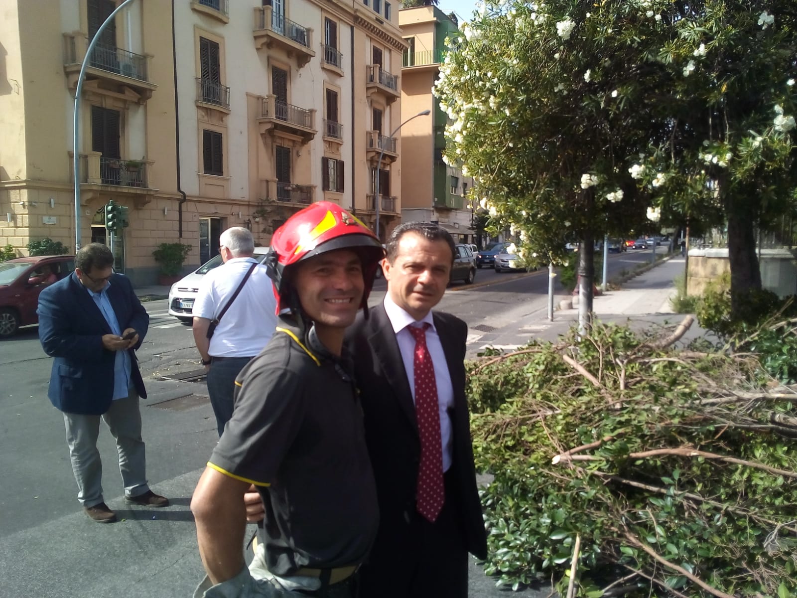 Crollo albero, De Luca convoca un tavolo tecnico emergenziale