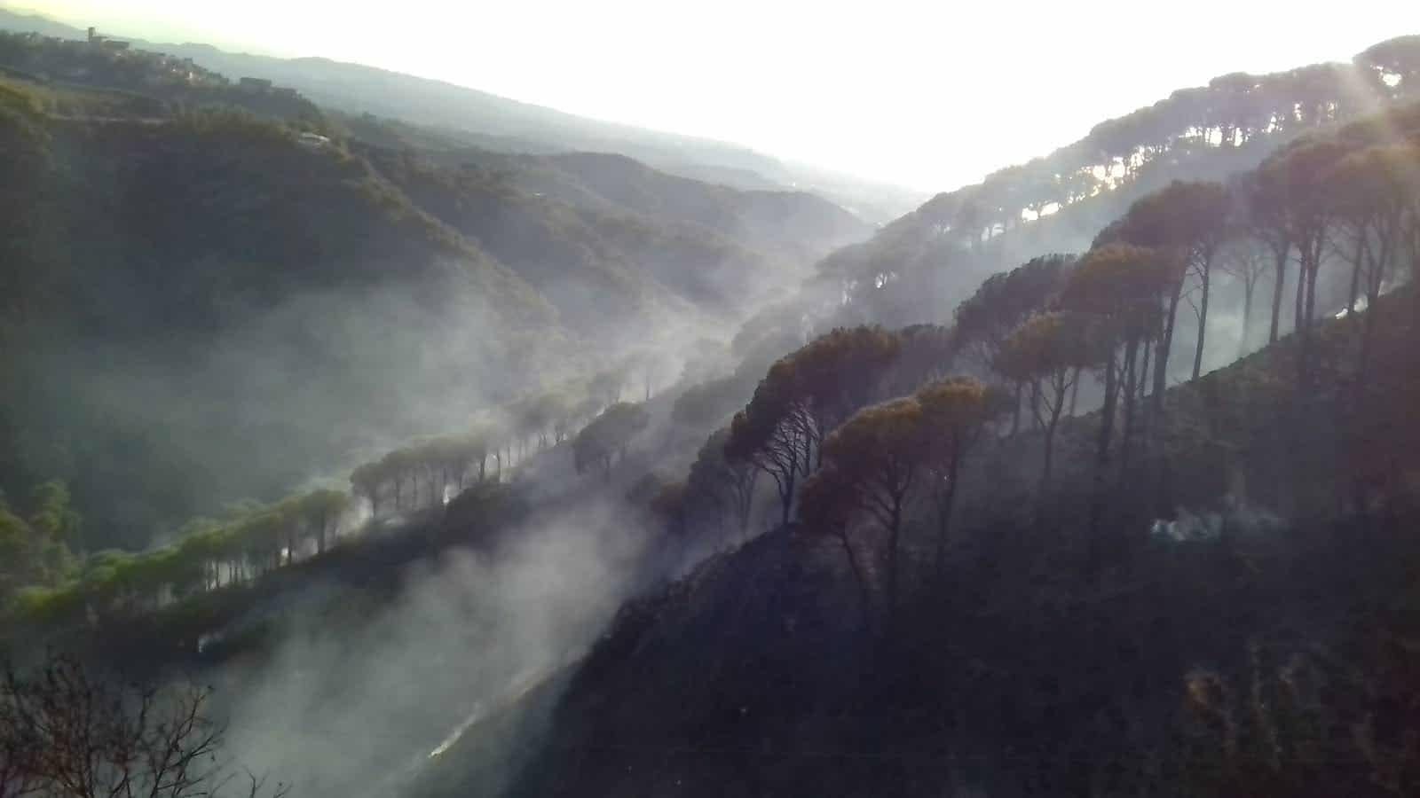 Peloritani nella morsa del fuoco. In fumo la pineta Calamona