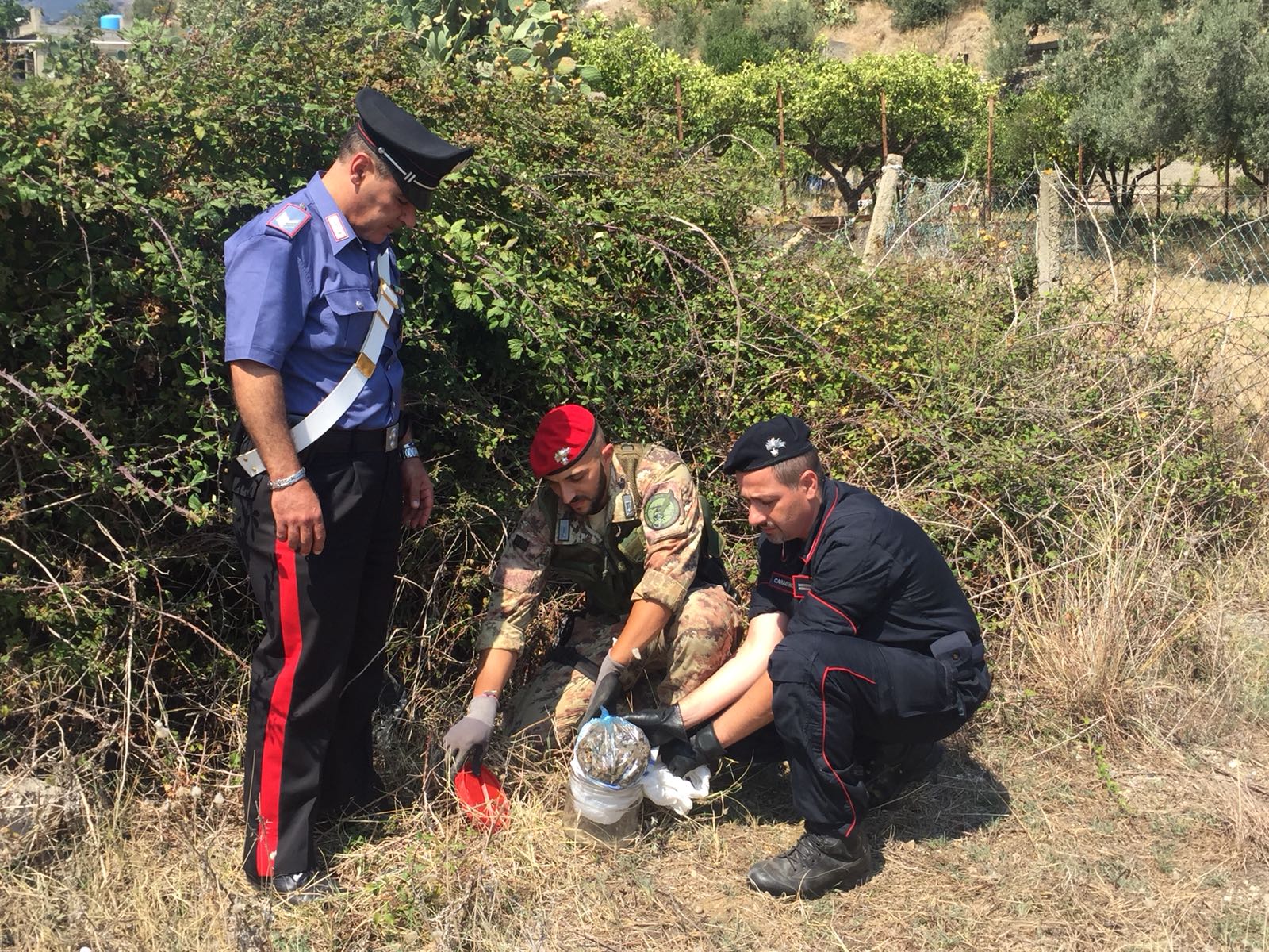 Santa Lucia sopra Contesse: oltre un chilo di droga sequestrata dai carabinieri