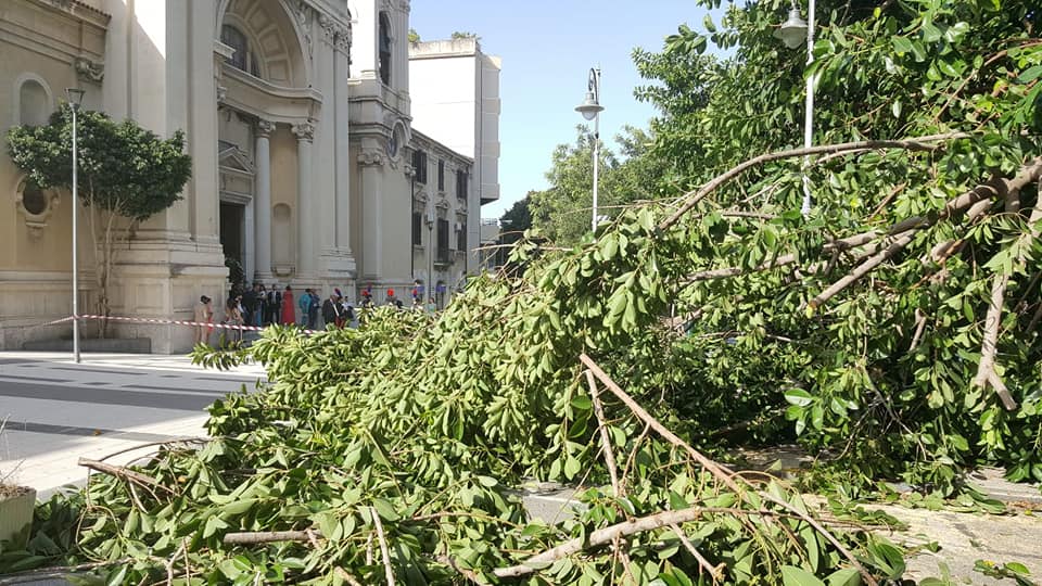 Nozze con schianto di albero presso chiesa Santa Caterina, pompieri chiudono via Garibaldi e sposo – carabiniere trova sorpresa