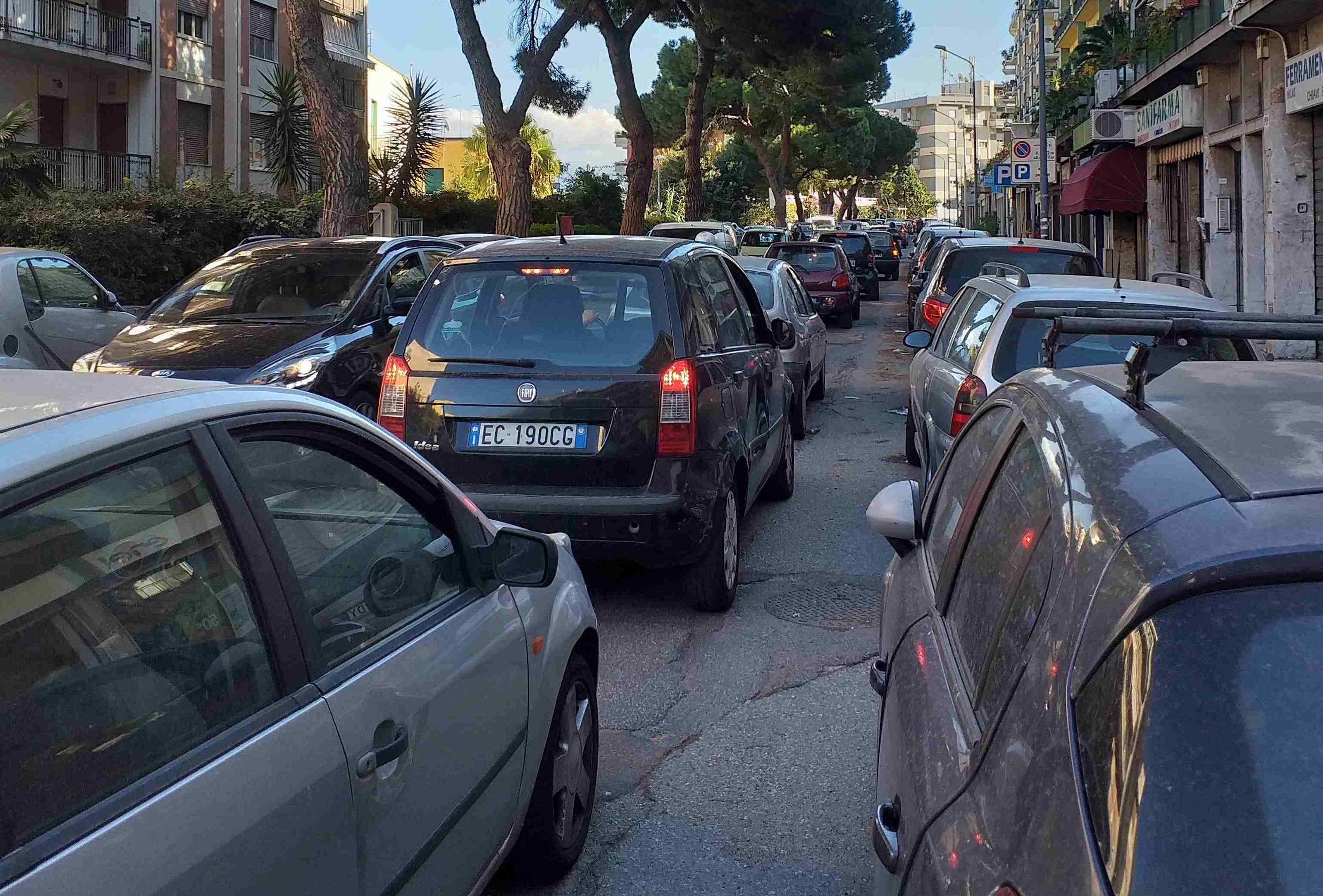 Interventi urgenti sulle alberature: possibili disagi sul viale Regina Margherita