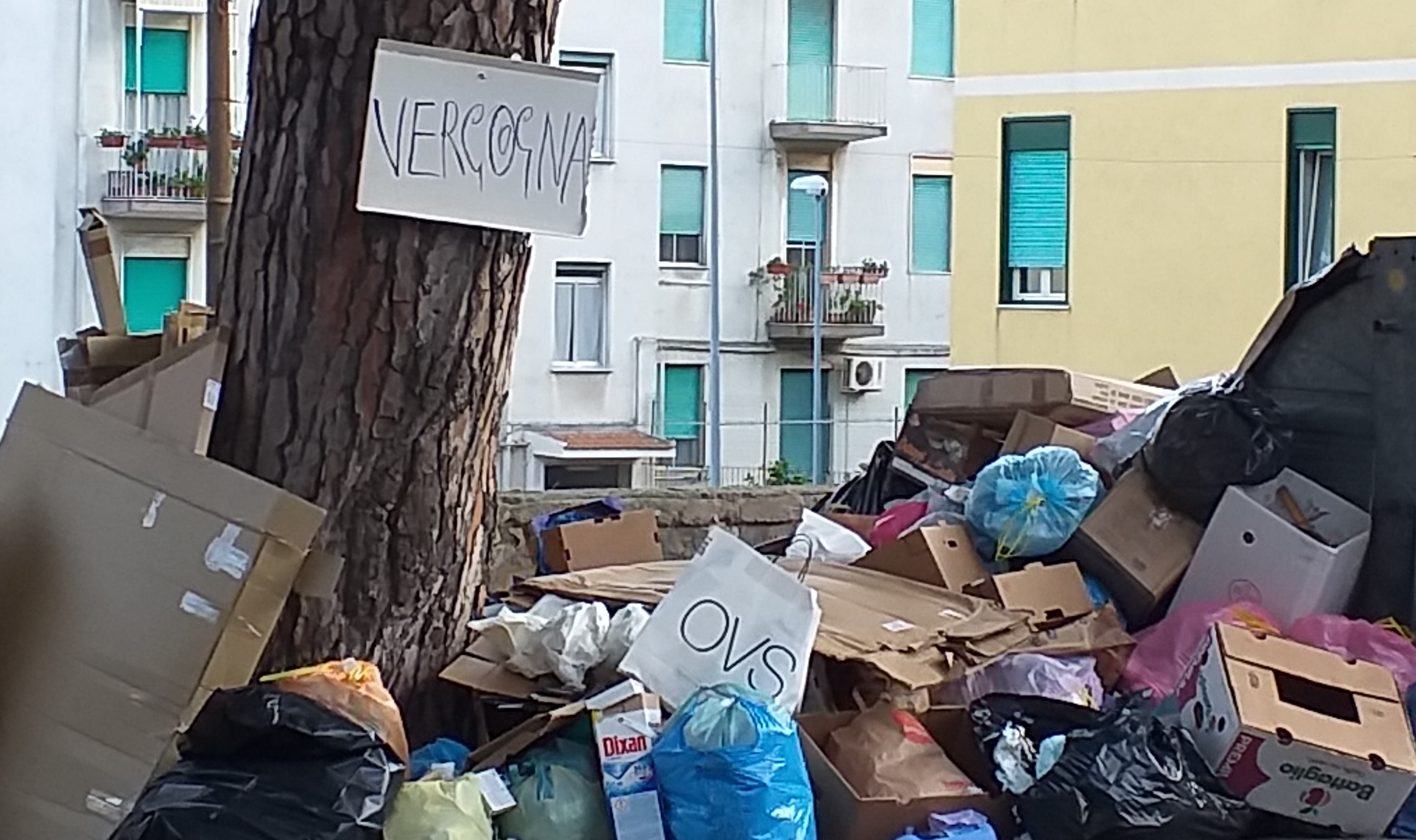 Laimo: "V Quartiere sommerso di spazzatura, situazione inammissibile"