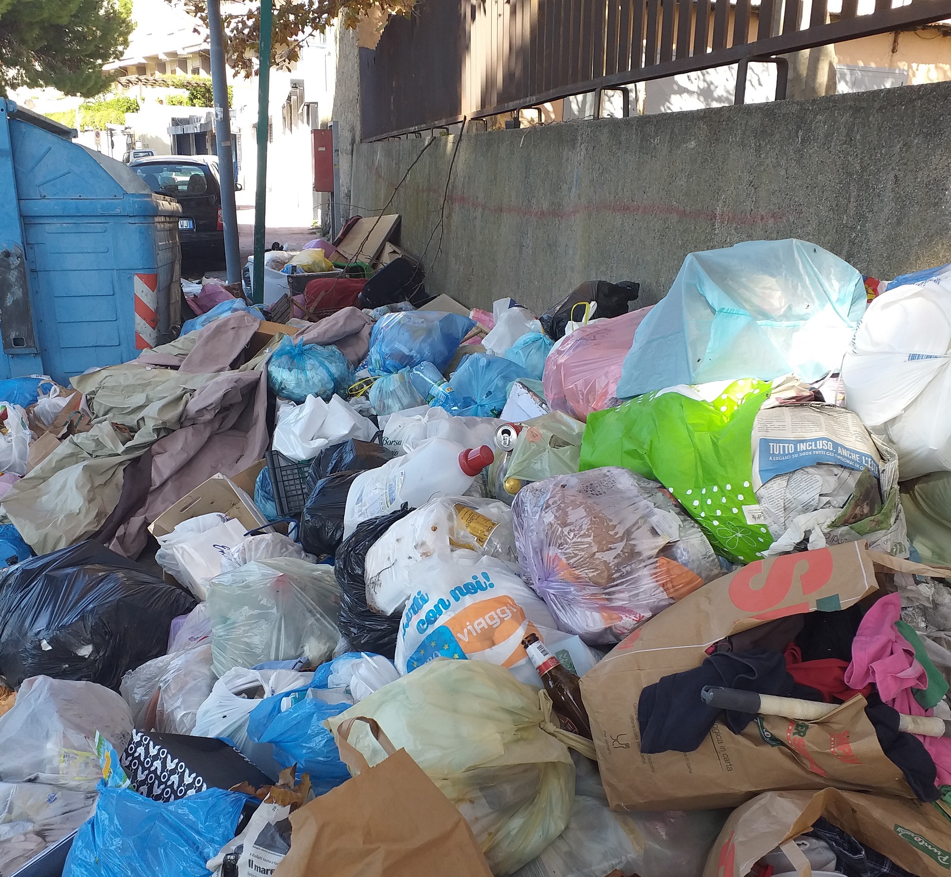 Sos spazzatura, V Circoscrizione invasa di insetti e ratti