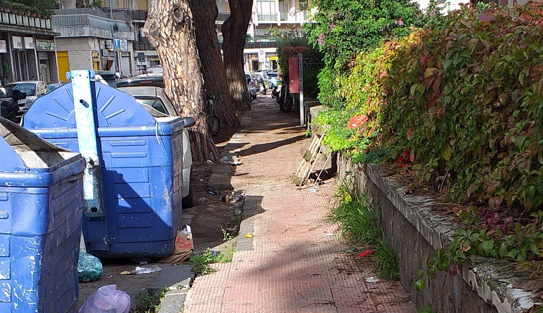 Laimo: "AAA cercasi netturbino, viale Regina Elena abbandonato da mesi"