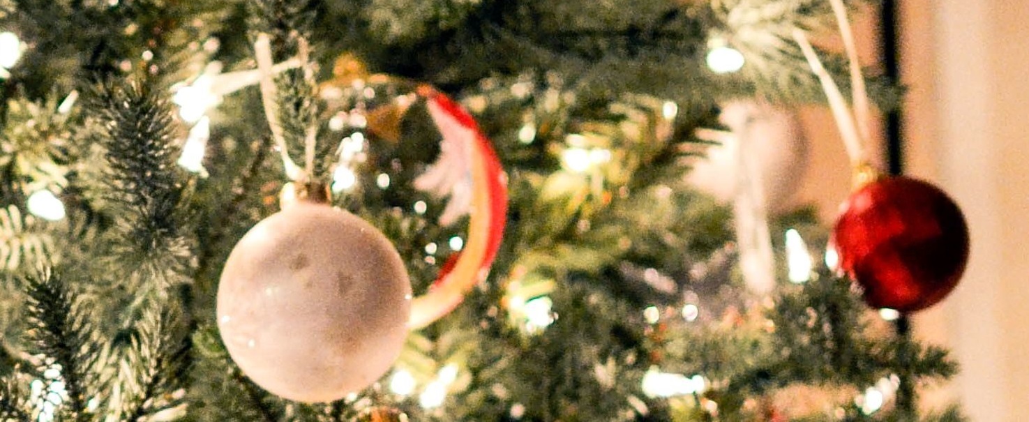 "Tra impegno e solidarietà", giovedì gli alunni della "G. Catalfamo" si esibiranno alle Case Arcobaleno