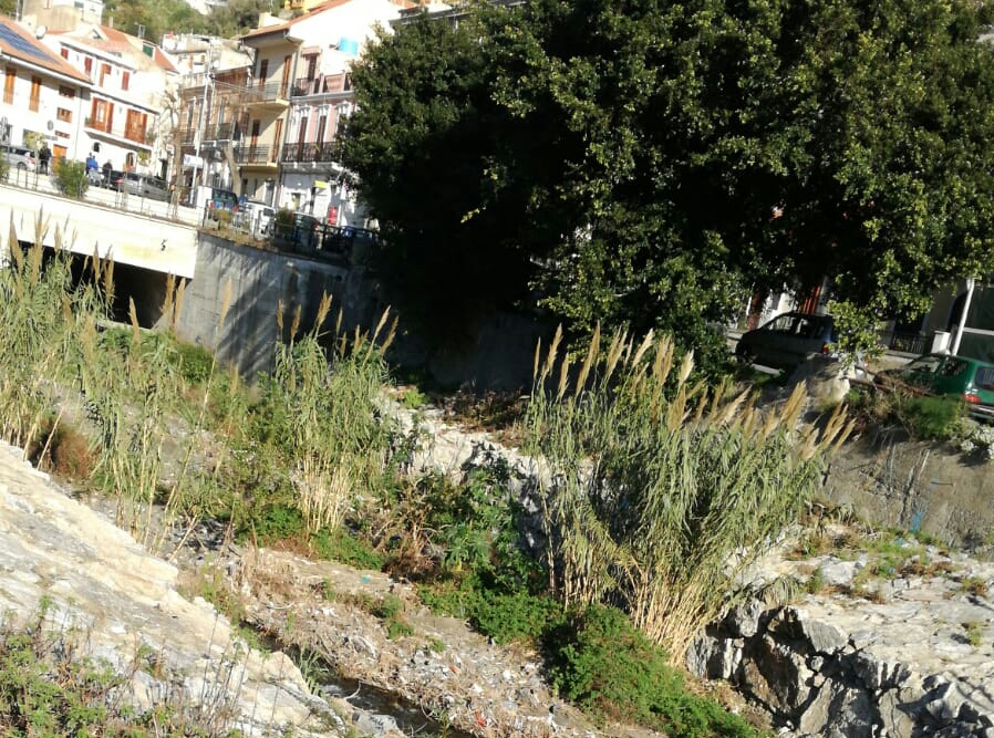 La giungla del torrente Giampilieri, le "lezioni" del passato non sono servite…