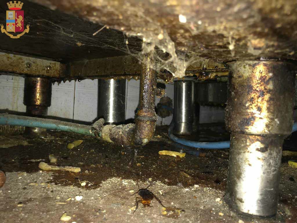 Anche blatte nella rosticceria, scatta la maxi multa dei poliziotti