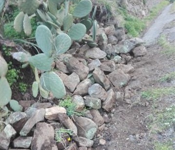 Biancuzzo: "Rimuovere la frana a Calamona, disagi per i residenti di contrada Piccione"