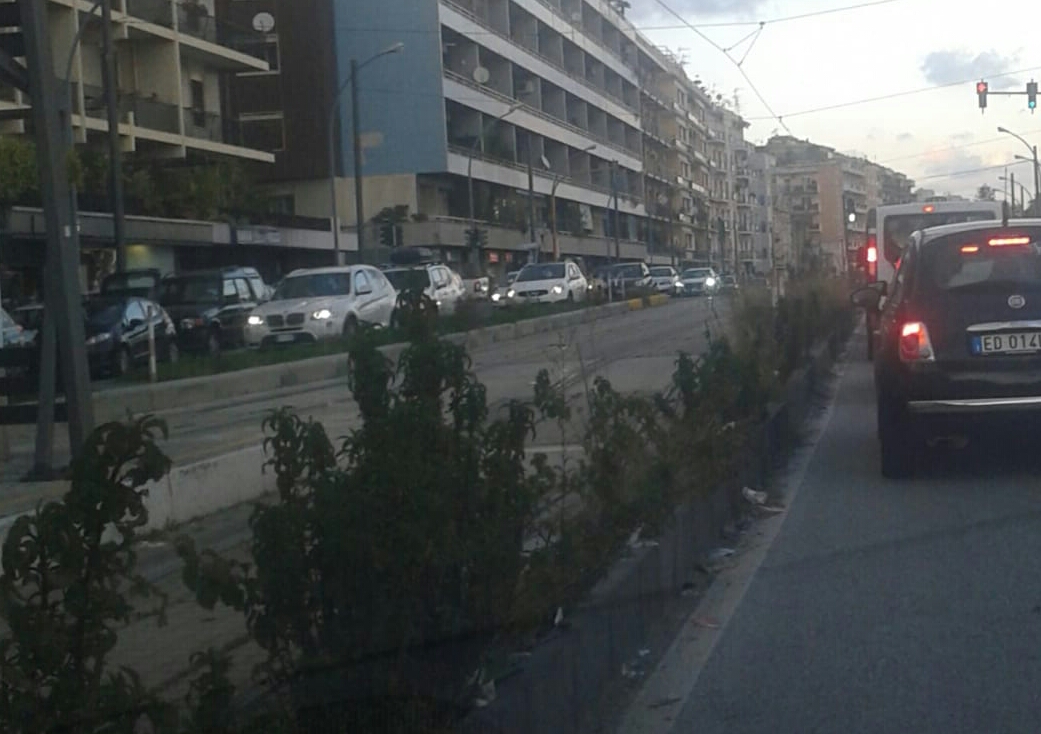 Viale della Libertà, degrado sotto gli occhi di tutti