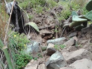 Biancuzzo: "Quando gli interventi per ripristinare il muro crollato a Calamona?"