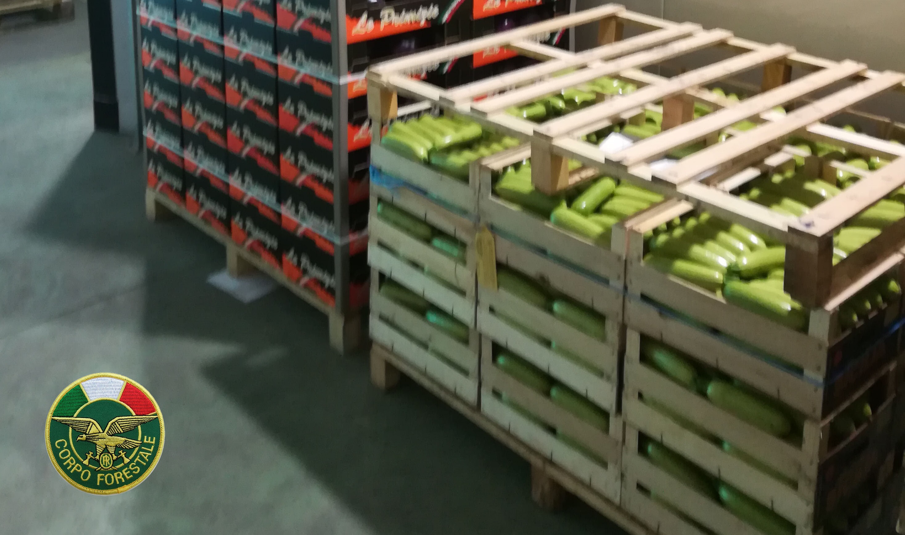 Blitz al mercato ortofrutticolo: sequestrate oltre 3 tonnellate di prodotti