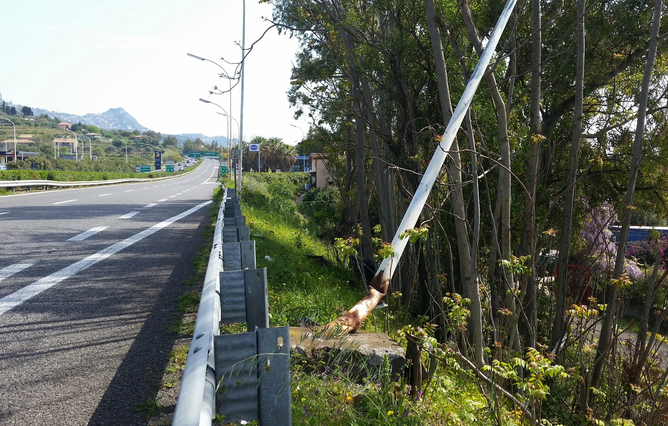 A18: palo della luce adagiato da mesi ad un albero