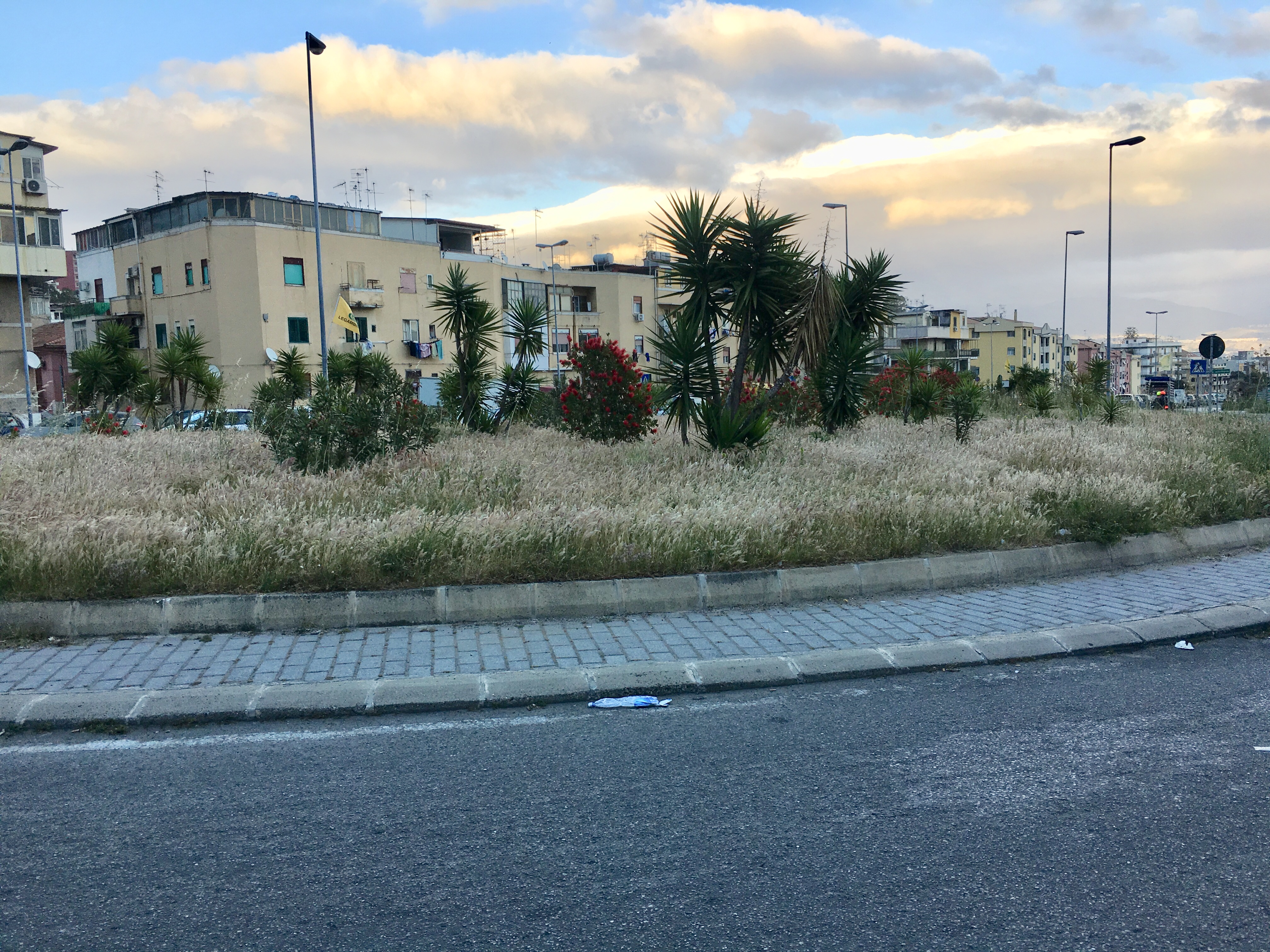 La colossale "bugia" di Legambiente: "Abbiamo ripulito la rotatoria di viale Giostra". Tutto falso