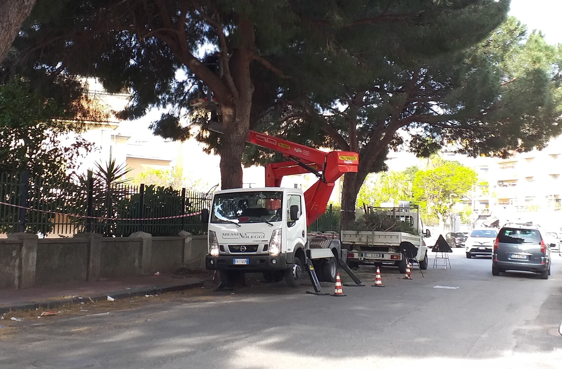 Interventi sulle alberature, limitazioni sul viale Principe Umberto