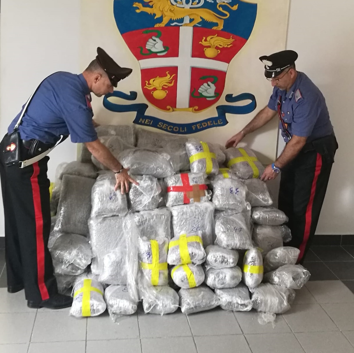 Terme Vigliatore, sequestrati 110 chili di marijuana