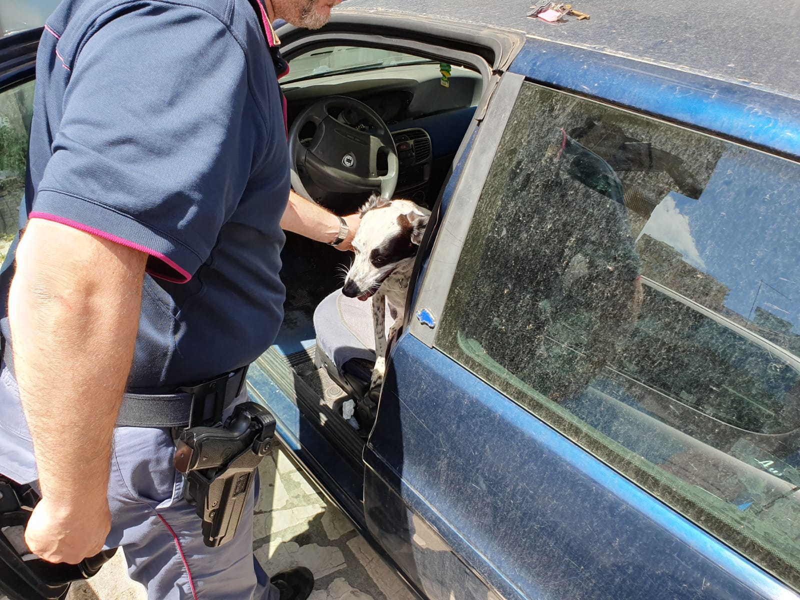 Meticcio chiuso in auto e sotto il sole salvato dalla polizia