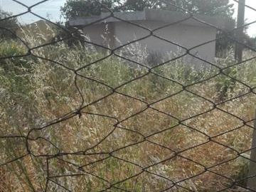 Erbacce ricoprono serbatoio a Piano Torre, Biancuzzo lancia l'Sos