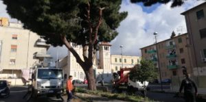 Villa Lina: avviata la potatura degli alberi a ridosso della chiesa di S. Matteo