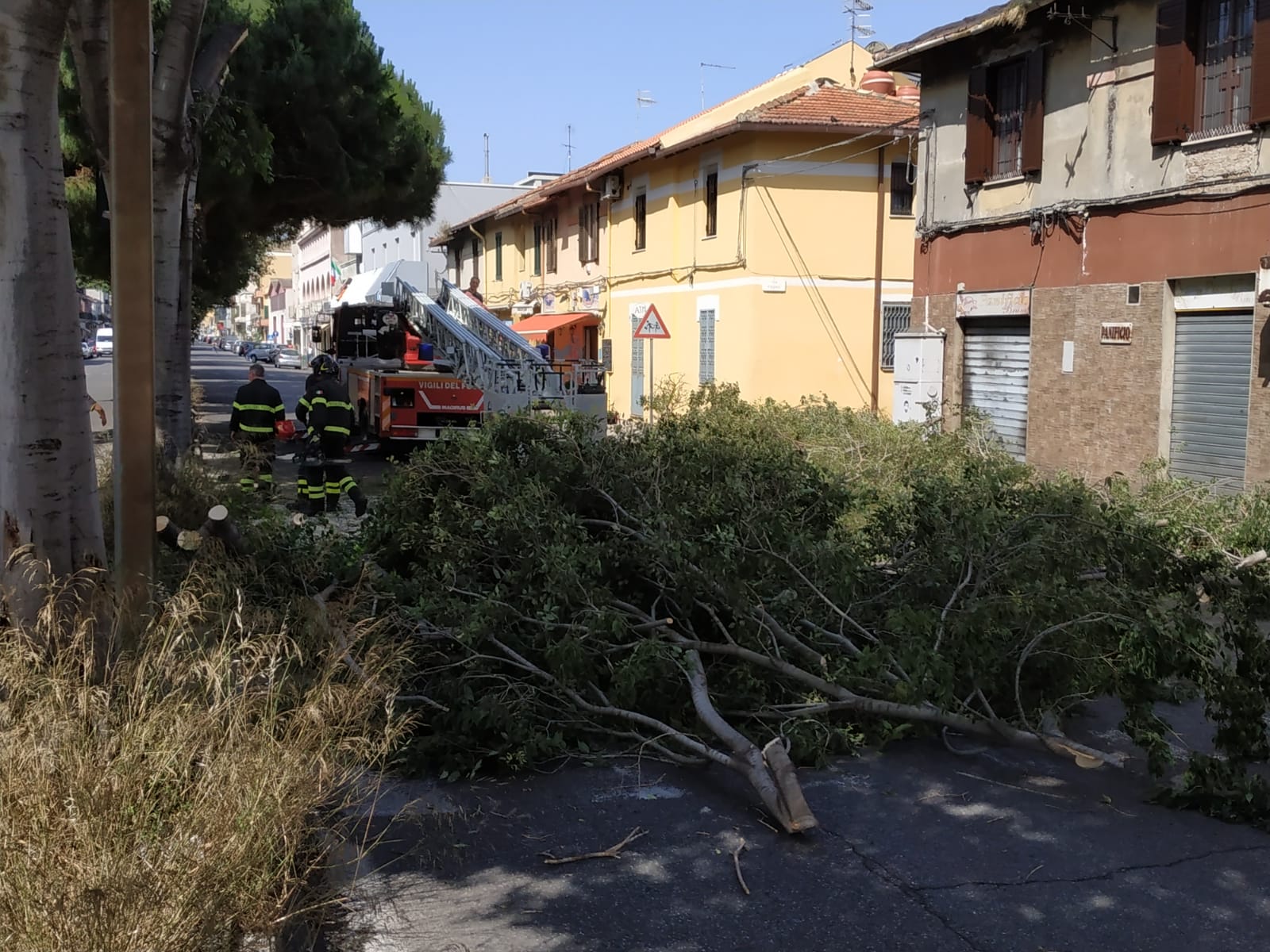 Arbusto si schianta in via La Farina: sfiorata tragedia
