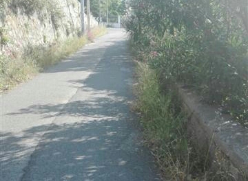 Rodia, Biancuzzo chiede interventi di scerbatura