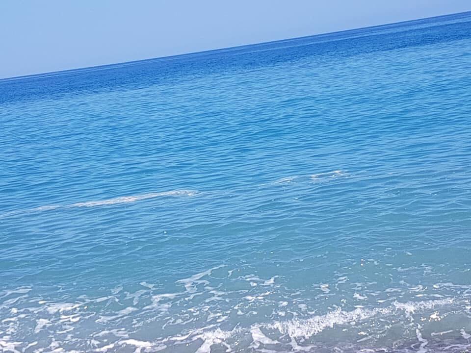 Sant'Agata Militello, strane chiazze in mare: Mancuso si appella alle autorità